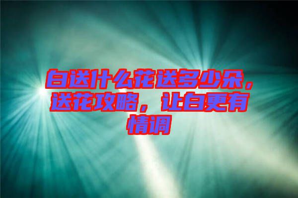 白送什么花送多少朵，送花攻略，讓白更有情調(diào)