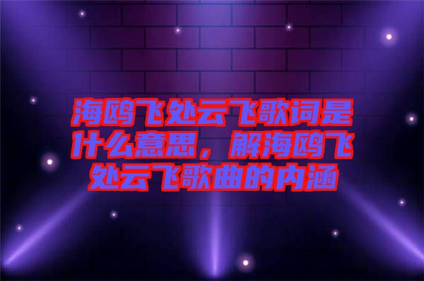 海鷗飛處云飛歌詞是什么意思，解海鷗飛處云飛歌曲的內(nèi)涵
