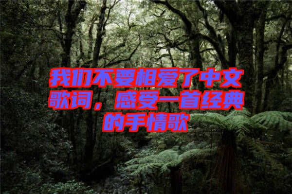 我們不要相愛了中文歌詞，感受一首經(jīng)典的手情歌