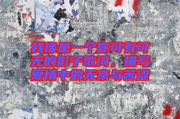 我像是一個(gè)你可有可無的影子歌詞，描寫愛情中的無奈與苦澀