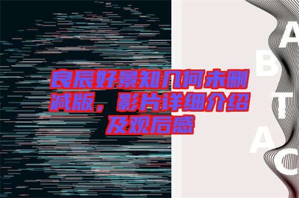 良辰好景知幾何未刪減版，影片詳細(xì)介紹及觀后感