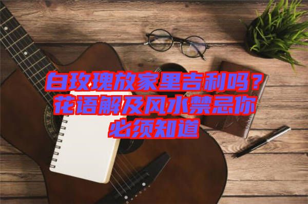 白玫瑰放家里吉利嗎？花語解及風(fēng)水禁忌你必須知道