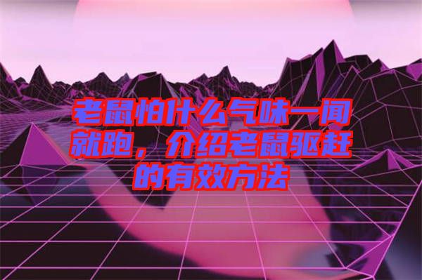 老鼠怕什么氣味一聞就跑，介紹老鼠驅(qū)趕的有效方法