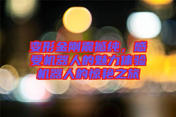 變形金剛震撼純，感受機(jī)器人的魅力體驗(yàn)機(jī)器人的驚艷之旅