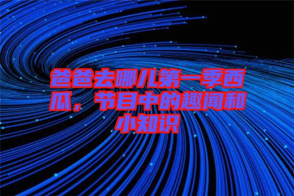 爸爸去哪兒第一季西瓜，節(jié)目中的趣聞和小知識(shí)