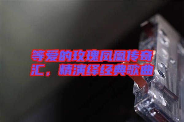 等愛的玫瑰鳳凰傳奇匯，精演繹經(jīng)典歌曲