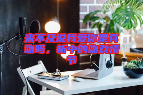 來(lái)不及說(shuō)我愛(ài)你是真吻嗎，析中的吻戲情節(jié)