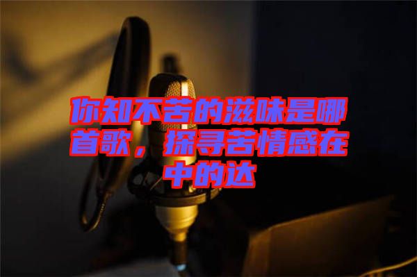 你知不苦的滋味是哪首歌，探尋苦情感在中的達(dá)