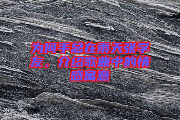為何手總在雨天張學(xué)友，介紹歌曲中的情感寓意