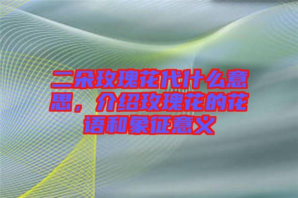 二朵玫瑰花代什么意思，介紹玫瑰花的花語和象征意義