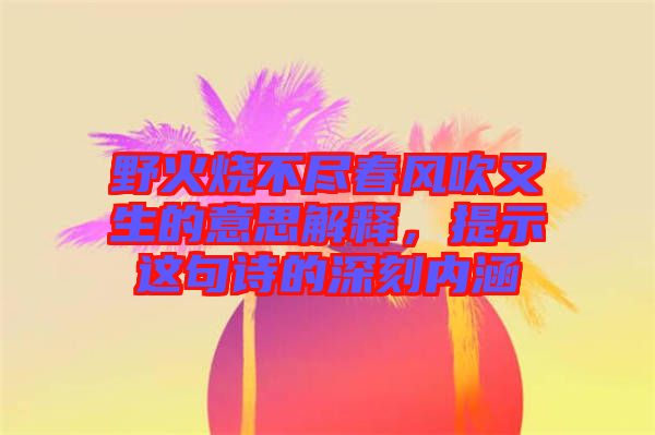 野火燒不盡春風(fēng)吹又生的意思解釋，提示這句詩的深刻內(nèi)涵