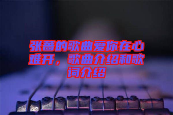 張薔的歌曲愛你在心難開，歌曲介紹和歌詞介紹