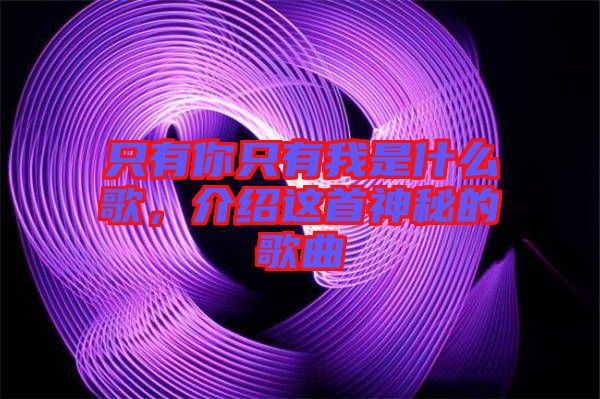 只有你只有我是什么歌，介紹這首神秘的歌曲