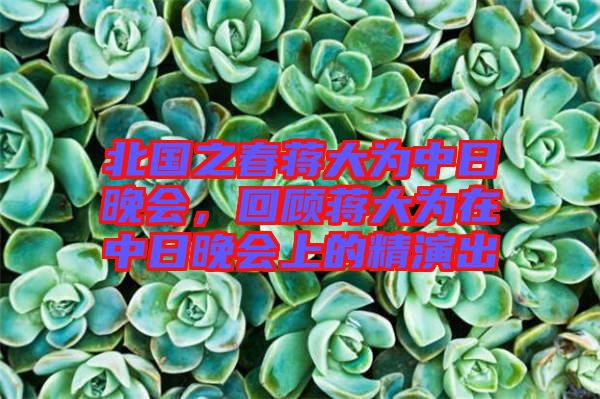 北國之春蔣大為中日晚會(huì)，回顧蔣大為在中日晚會(huì)上的精演出
