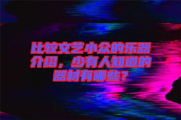 比較文藝小眾的樂器介紹，少有人知道的器材有哪些？