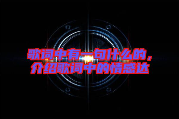 歌詞中有一句什么的，介紹歌詞中的情感達(dá)
