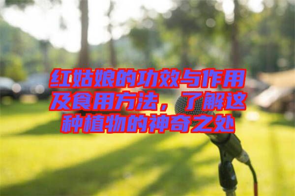紅姑娘的功效與作用及食用方法，了解這種植物的神奇之處