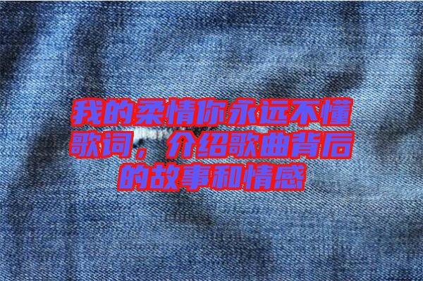 我的柔情你永遠(yuǎn)不懂歌詞，介紹歌曲背后的故事和情感