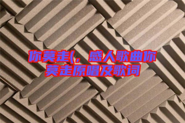 你莫走(，感人歌曲你莫走原唱及歌詞