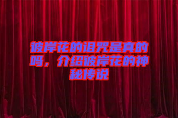 彼岸花的詛咒是真的嗎，介紹彼岸花的神秘傳說