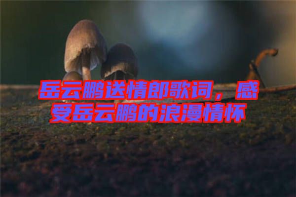 岳云鵬送情郎歌詞，感受岳云鵬的浪漫情懷