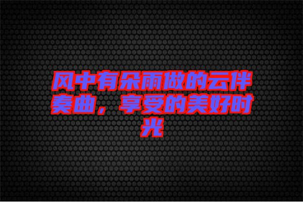 風(fēng)中有朵雨做的云伴奏曲，享受的美好時(shí)光