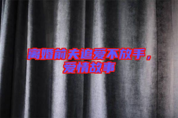 離婚前夫追愛不放手，愛情故事
