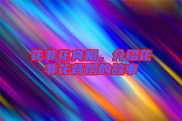 花非花真相，介紹花非花背后的故事