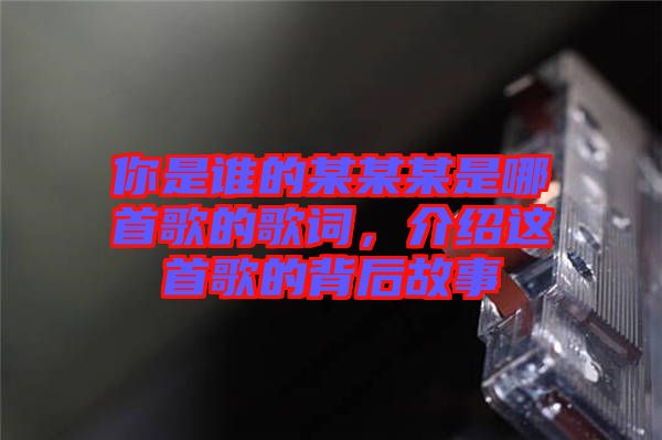 你是誰(shuí)的某某某是哪首歌的歌詞，介紹這首歌的背后故事