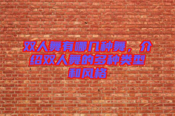 雙人舞有哪幾種舞，介紹雙人舞的多種類(lèi)型和風(fēng)格