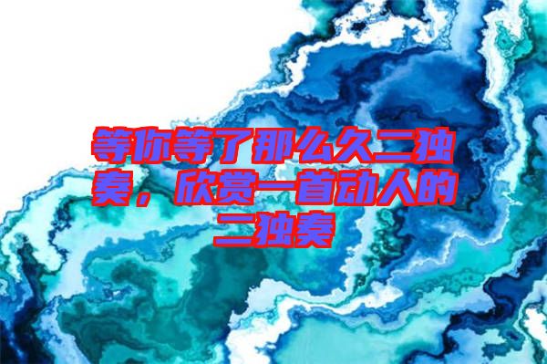等你等了那么久二獨(dú)奏，欣賞一首動(dòng)人的二獨(dú)奏