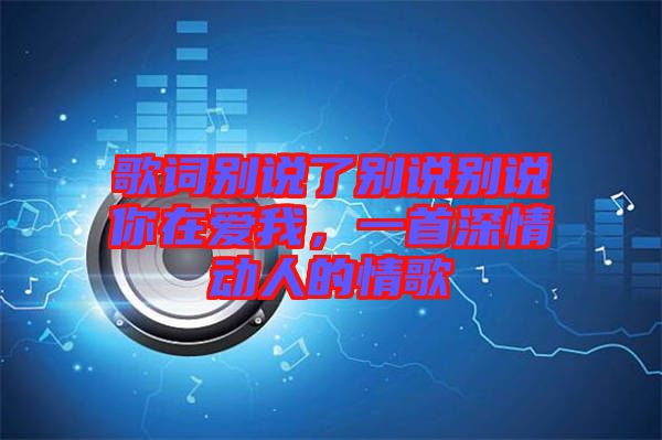 歌詞別說了別說別說你在愛我，一首深情動(dòng)人的情歌