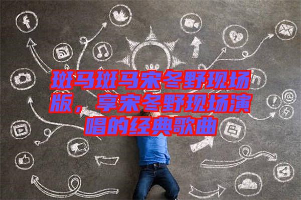 斑馬斑馬宋冬野現(xiàn)場版，享宋冬野現(xiàn)場演唱的經(jīng)典歌曲