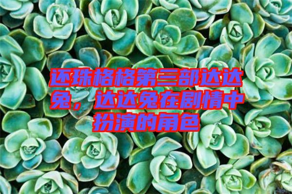 還珠格格第三部達達兔，達達兔在劇情中扮演的角色