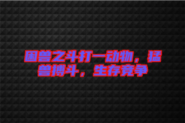 困獸之斗打一動(dòng)物，猛獸搏斗，生存競(jìng)爭(zhēng)