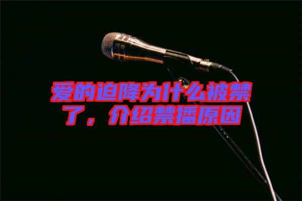 愛的迫降為什么被禁了，介紹禁播原因
