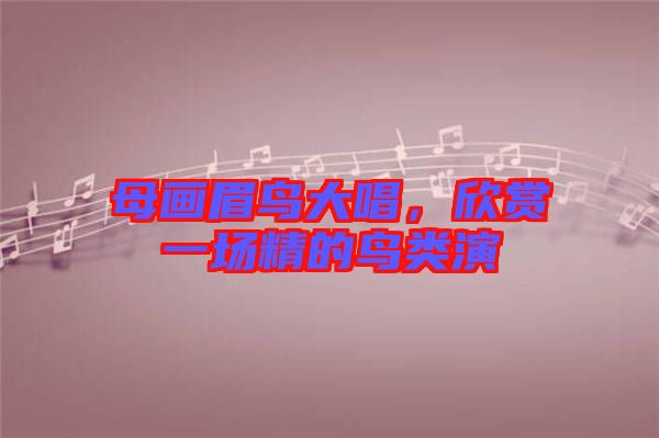 母畫眉鳥大唱，欣賞一場精的鳥類演