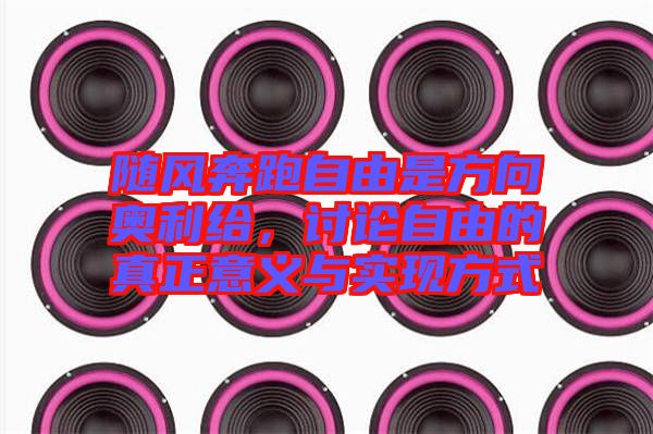 隨風(fēng)奔跑自由是方向奧利給，討論自由的真正意義與實現(xiàn)方式