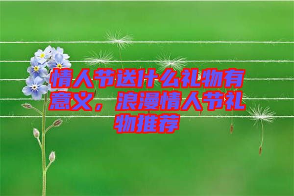 情人節(jié)送什么禮物有意義，浪漫情人節(jié)禮物推薦