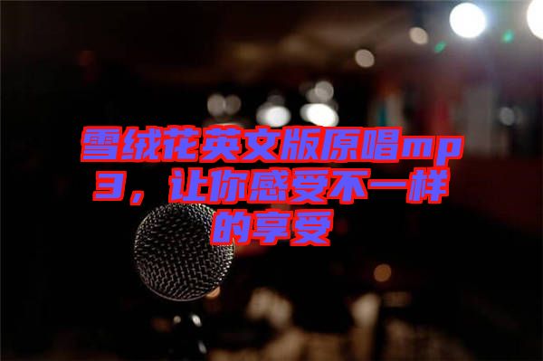 雪絨花英文版原唱mp3，讓你感受不一樣的享受