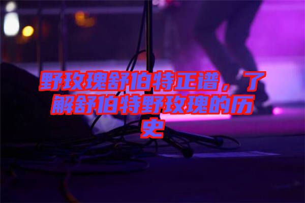 野玫瑰舒伯特正譜，了解舒伯特野玫瑰的歷史