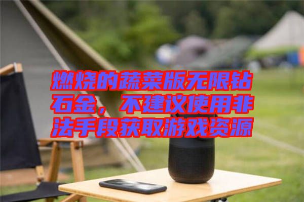 燃燒的蔬菜版無(wú)限鉆石金，不建議使用非法手段獲取游戲資源