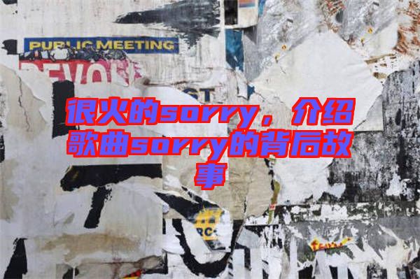 很火的sorry，介紹歌曲sorry的背后故事