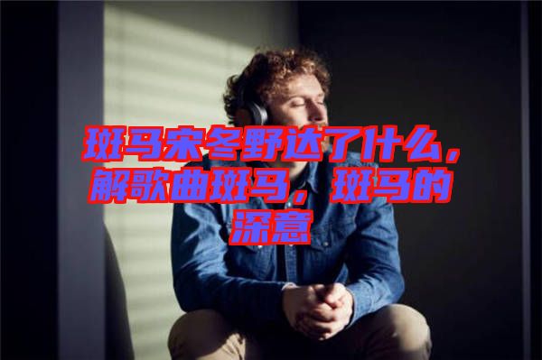 斑馬宋冬野達(dá)了什么，解歌曲斑馬，斑馬的深意