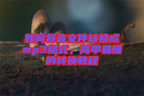 如何將音文件轉(zhuǎn)換成mp3格式，簡單易懂的轉(zhuǎn)換教程