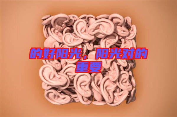 的好陽(yáng)光，陽(yáng)光對(duì)的重要
