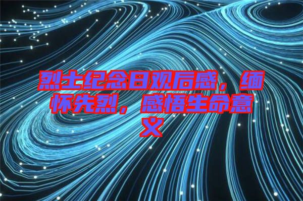 烈士紀念日觀后感，緬懷先烈，感悟生命意義