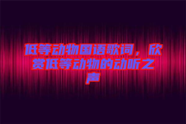 低等動(dòng)物國(guó)語(yǔ)歌詞，欣賞低等動(dòng)物的動(dòng)聽之聲