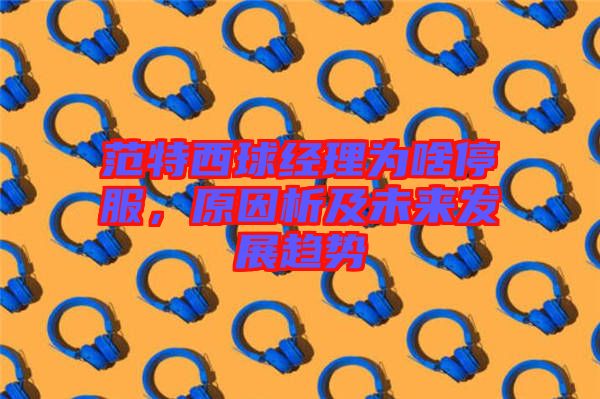 范特西球經(jīng)理為啥停服，原因析及未來發(fā)展趨勢
