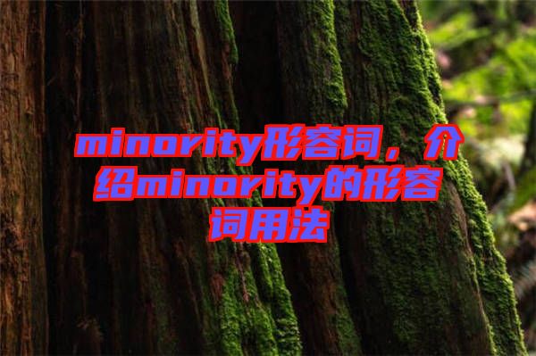 minority形容詞，介紹minority的形容詞用法